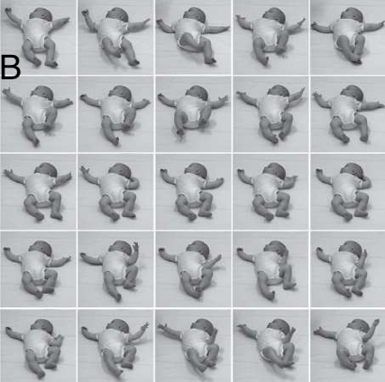 Illustration Variation B